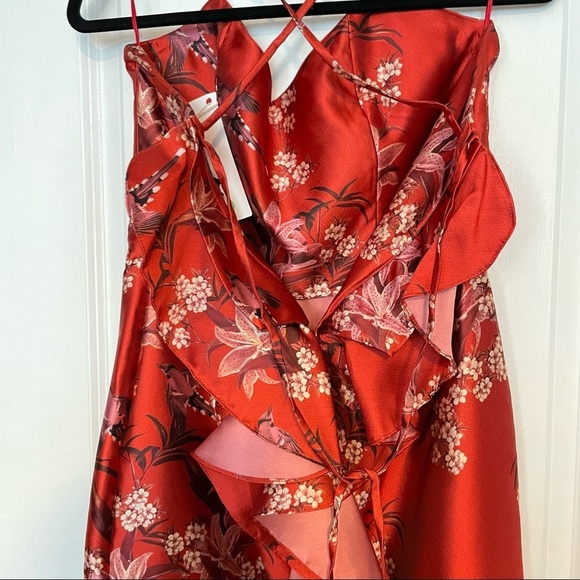 JOHANNA ORTIZ El Dia Que Me Quieras Dress Renaissance Victorian Red Ruffle satin - Picture 17 of 17